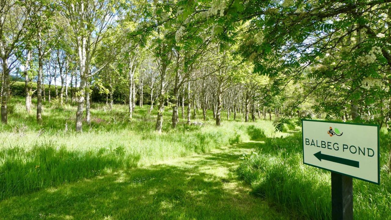 Maybole Balcraig Houseヴィラ エクステリア 写真