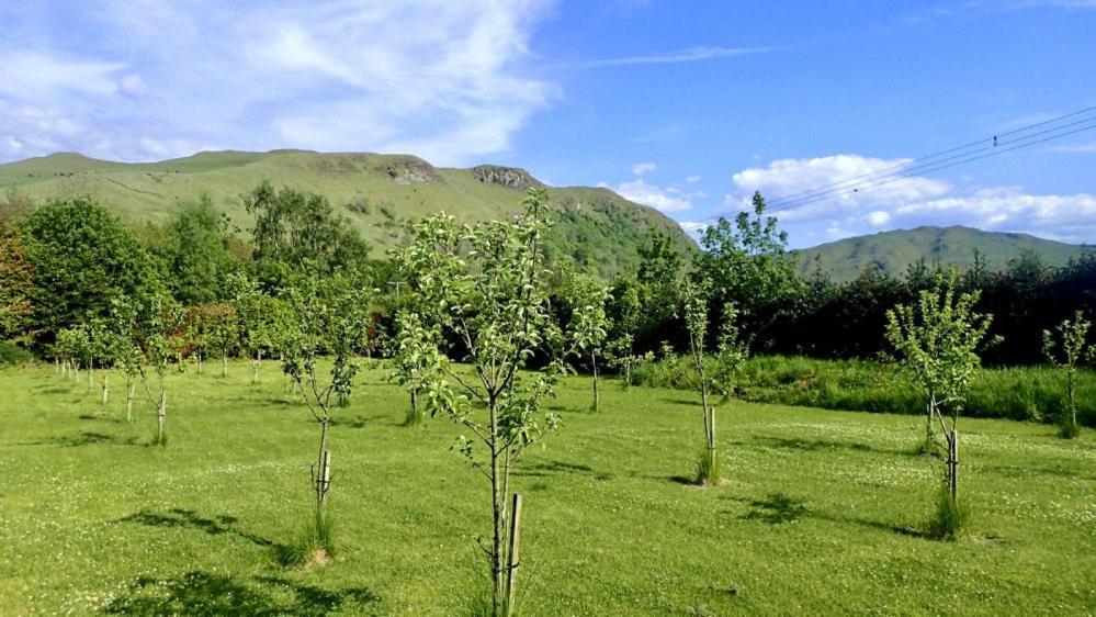 Maybole Balcraig Houseヴィラ エクステリア 写真