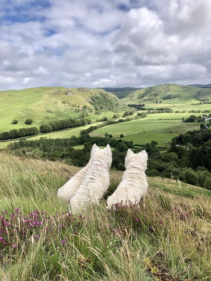 Maybole Balcraig Houseヴィラ エクステリア 写真